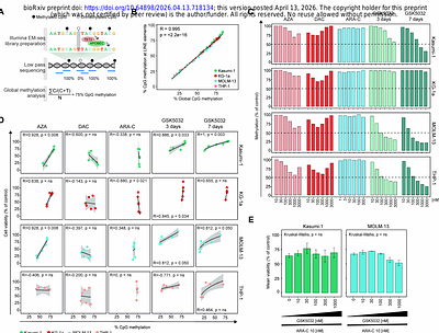 DNA Demethylation is Dispensable for Venetoclax-HMA Synergy in Acute Myeloid Leukaemia