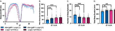 Genipin Alleviates Sleep Deficiencies Caused by α-Synuclein Toxicity in a Drosophila melanogaster Model of Parkinsons Disease