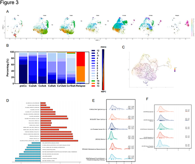 Longitudinal single-cell analysis reveals RUNX1T1 as an early driver in treatment-induced neuroendocrine transdifferentiation