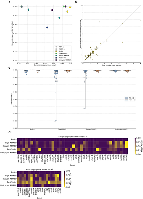 Amira: gene-space de Bruijn graphs to improve the detection of AMR genes from bacterial long reads