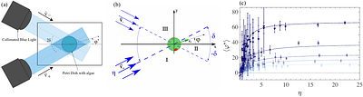 Phototactic Decision-Making by Micro-Algae