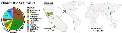 PEONY: a global reference database of DNA viral (vOTU) sequences from viral size-fractionated metagenomes (viromes)