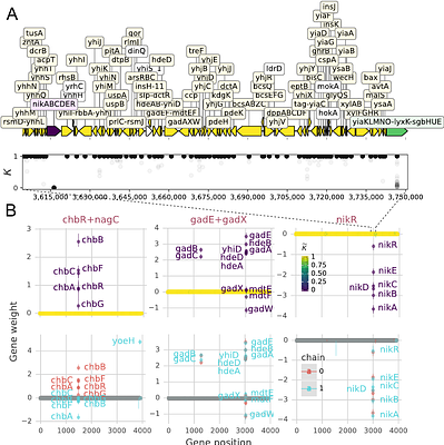 Bayesian Independent Component Analysis reconstructs independent modules of gene expression