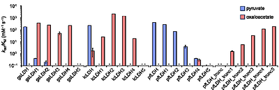 A Method for Predicting Enzyme Substrate Specificity Residues Using Homologous Sequence Information