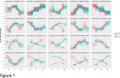 The Dynamic Nature of Genetic Risk for Schizophrenia Within Genes Regulated by FOXP1 During Neurodevelopment