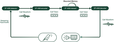 Zebra finch females flexibly communicate with each other and with AI-driven acoustic interaction models