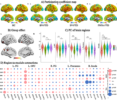 Transdiagnostic brain module dysfunctions across sub-types of frontotemporal dementia: a connectome-based investigation