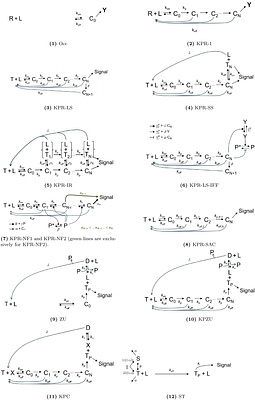 Response metrics of T-cell activation models
