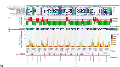 Ecological specificity and interconnectivity in Danish environmental resistomes