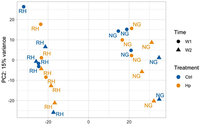 Neonatal infection with Helicobacter pylori affects stomach and colon microbiome composition and gene expression in mice