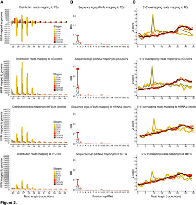 piRNAs are abundant in the early embryo of the crustacean Parhyale hawaiensis