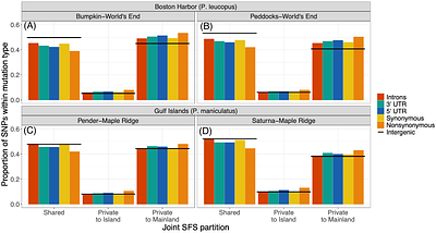 Evolution of mutational fitness effects in island populations