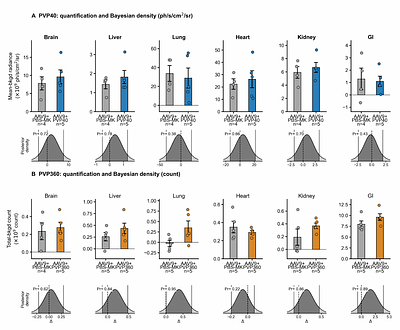 Polyvinylpyrrolidone enhances AAV transduction in vitro and shows preliminary utility for subretinal delivery