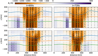 Fine-scale opposite-polarity magnetic fields in a solar plage revealed
  by integral field spectropolarimetry