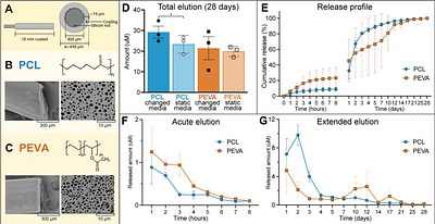 Selonsertib-Eluting Electrode Coating Attenuates Cochlear Injury Pathways