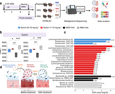 Health-associated gut bacteriocins target TLR4 to suppress intestinal inflammation