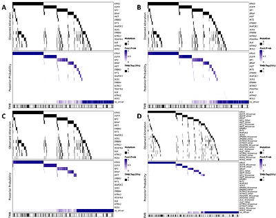 A Bayesian Approach for Identifying Driver Mutations within Oncogenic Pathways through Mutual Exclusivity