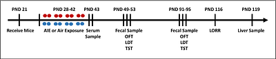 Adolescent intermittent ethanol exposure induces sex-specific and time-dependent changes in affective behaviors and metabolomic profiles.