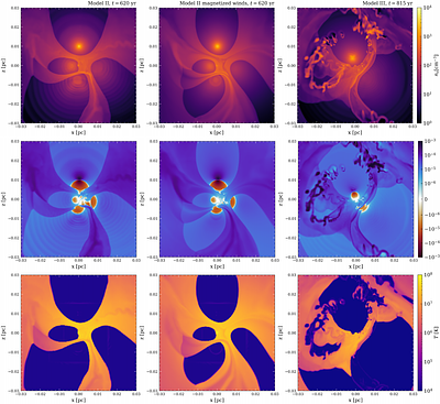Compact stellar systems hosting an intermediate mass black hole:
  magnetohydrodynamic study of inflow-outflow dynamics