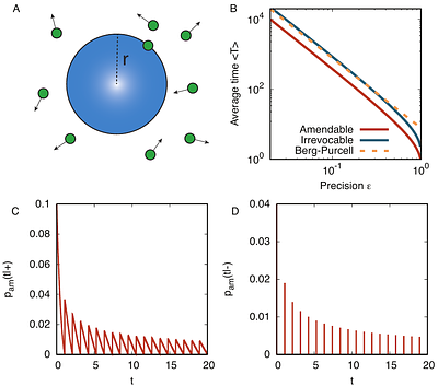 Amendable decisions in living systems