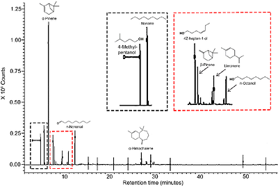 Hypericum triquetrifolium Essential Oil: Chemical Composition, Hierarchical Cluster Analysis, and Antibacterial Activity