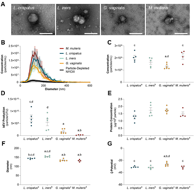 Vaginal bacteria-derived extracellular vesicles diffuse through human cervicovaginal mucus to enable bacterial signaling to upper female reproductive tract tissues