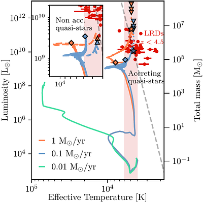 A quasi-star is born: formation and evolution of accreting quasi-stars as a metallicity-independent pathway to Little Red Dots