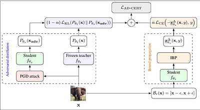 Improving Certified Robustness via Adversarial Distillation