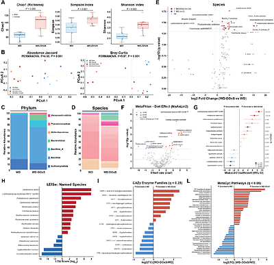 Dietary Oxysterols Reprogram Hepatic Lipid Metabolism and Reshape the Gut Metabolome-Microbiome Interface