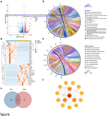 A correlational study of ABCA3 and SCN4B as exercise-related biomarkers of patients with Stanford type A aortic dissection