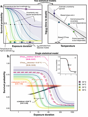 A flexible modelling framework for estimating thermal tolerance and sensitivity