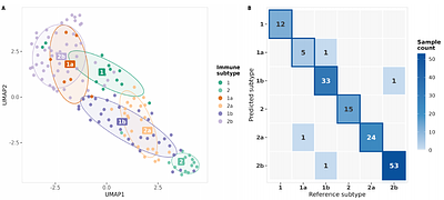 Stratified Immune Profiling Uncovers Prognostic Heterogeneity Beyond MYCN Amplification and Age in Neuroblastoma