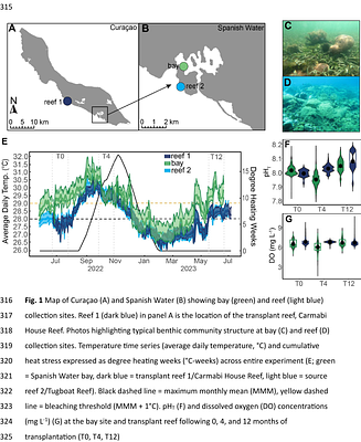 Physiological mechanisms underlying coral acclimatization capacity to novel, multi-stressor conditions