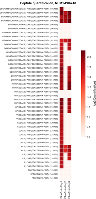 InstaNovo-P: A de novo peptide sequencing model for phosphoproteomics