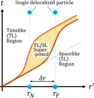 Quantum Matter Makes Lightcones Quantum