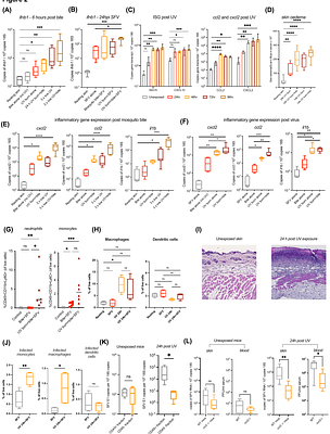Ultraviolet exposure remodels skin to enhance arbovirus infection and mosquito biting behaviour