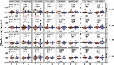 Tulp3 quantitative alleles titrate requirements for viability, brain development, and kidney homeostasis but do not suppress Zfp423 mutations in mice.