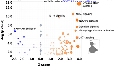 Ebola virus exploits host lncRNA LINC01740 to enhance ATF3 and suppress antiviral immune responses
