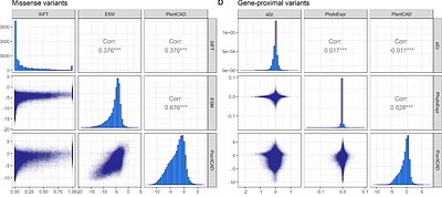 In vivo validation of predicted fitness effects at single-base resolution in a Brachypodium distachyon mutant population