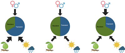 Diet, Climatic Conditions, and Sex Affect the Mycobiome of Wild Common Marmosets (Callithrix jacchus)