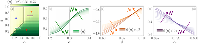 Nonequilibrium phases and quantum correlations in synthetic transport models