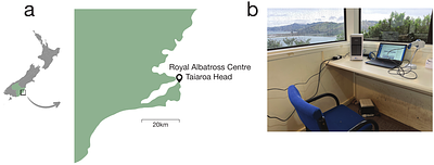 Rapid GeneXpert surveillance of influenza A virus in seabirds and the environment provides early warning for wildlife health in Aotearoa New Zealand