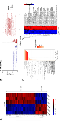 m6A RNA methylation modulates Zika virus infection by regulating serine proteases in Aedes albopictus