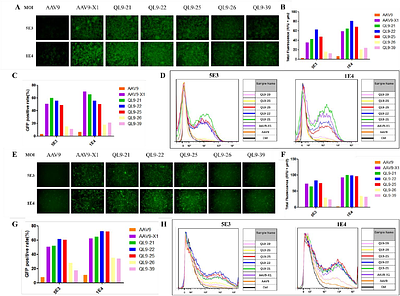 LRP6-Guided Engineering of AAV9 Variants with Enhanced Blood-Brain Barrier Penetration and Reduced Liver Tropism in Non-Human Primates