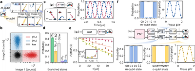 High-fidelity entanglement and coherent multi-qubit mapping in an atom
  array