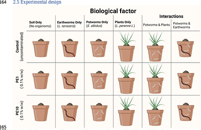Ecological Impacts of Additive-Enriched LDPE Microplastics in Agricultural Soils: Single and Multi-Species Assessments