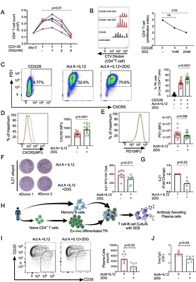 A Glycolysis-Fatty Acid Metabolic Axis Shapes Human Tfh Cell Function