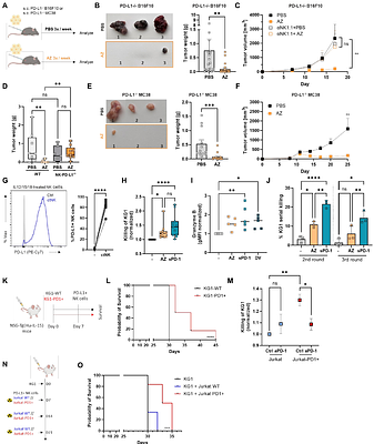 PD-L1 ligation on NK cells induces a metabolic shift from glycolysis to fatty acid oxidation, enhancing tumor infiltration and control