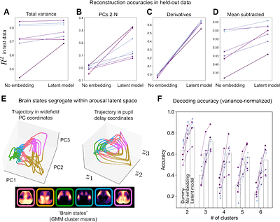 Arousal as a universal embedding for spatiotemporal brain dynamics