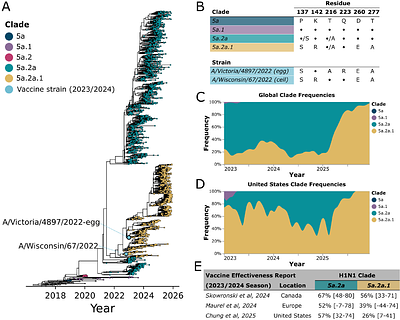 Strain-specific differences in the response to egg-derived versus recombinant protein influenza vaccines